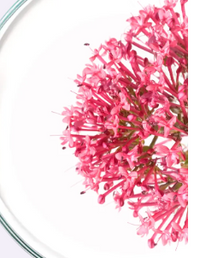 Valerian